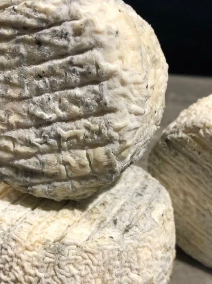 Cendrion de chèvre fermier "CENDRÉE"