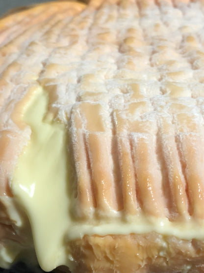 Époisses de Bourgogne AOP